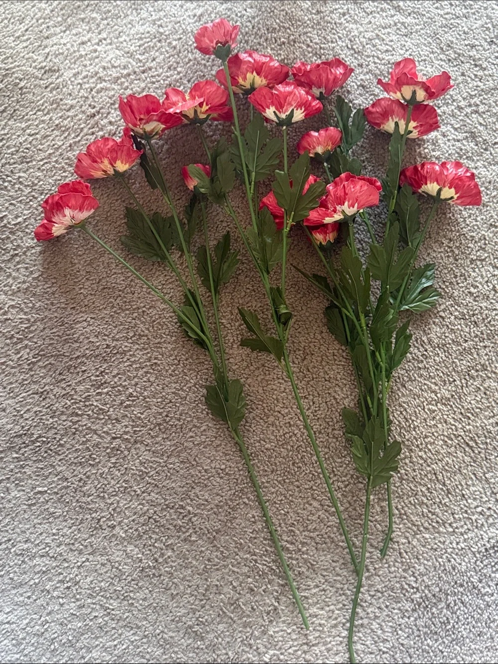Red Hand Painted Poppy Stem Bouquet!